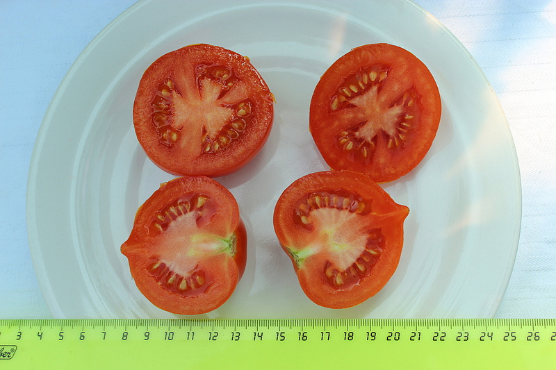 Партнер Томат АГАША F1 ^(0,05г) 2-ной пак, изображение 1