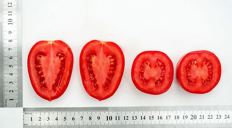 Партнер Томат МАРСЕЛОН F1 ^(5шт) 2-ной пак, изображение 5