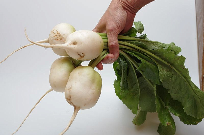 Партнер Дайкон САША ^(1г), изображение 4