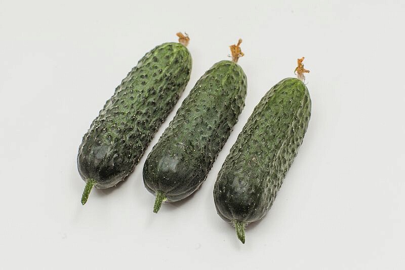 Партнер Огурец ДИРЕКТОР F1 ^(5шт), изображение 1