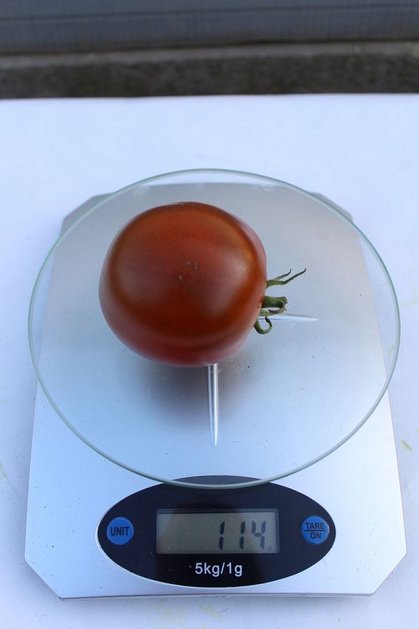 Партнер Томат ВЕНДЕТТА F1 ^(5шт) 2-ной пак, изображение 5