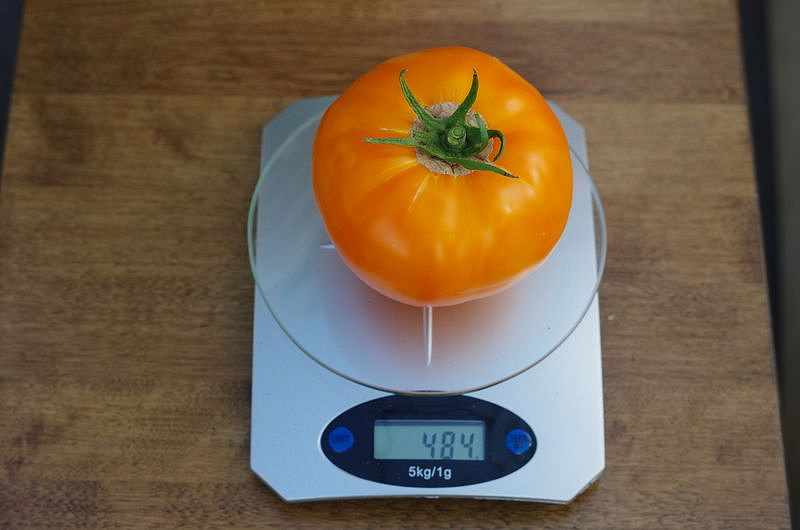 Партнер Томат ТРОПИКАНКА ^(0,05г) 2-ной пак, изображение 6