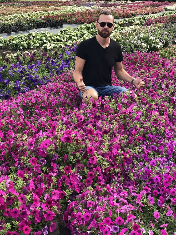 Партнер Петуния серия "Вивальди" ТАЙНА F1 / крупноцветковая ампельная^(5шт в амп), изображение 1