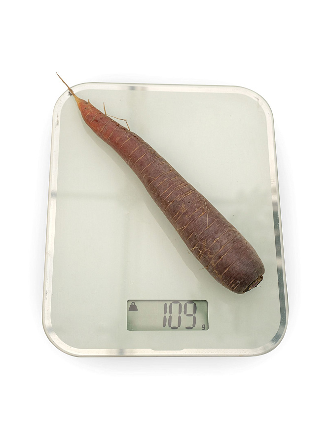 Партнер Морковь ПЁРПЛ САН F1 ^(0,5г), изображение 5