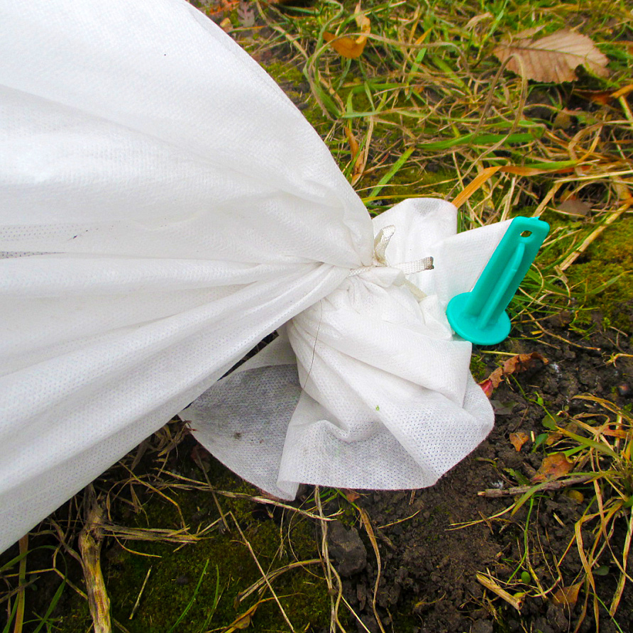 Парник "БОРОВИК" (6,0 м), изображение 3