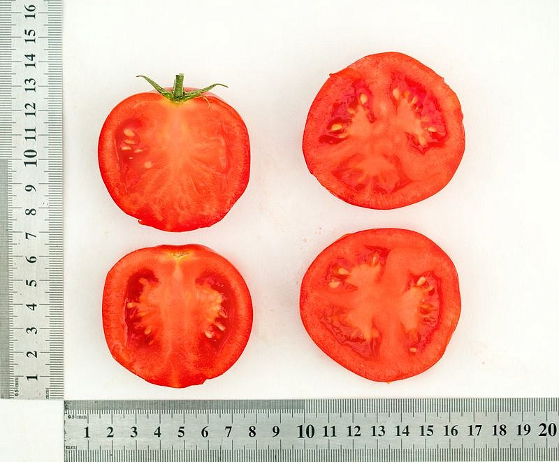 Партнер Томат ВЕРОЧКА F1 ^(0,05г) 2-ной пак, изображение 3