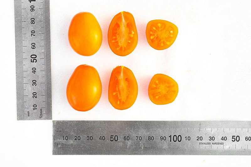 Партнер Томат Черри ЛЯ МУР F1 ^(5шт) 2-ной пак, изображение 3