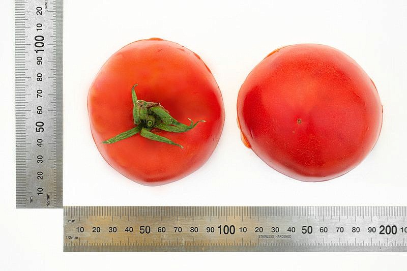 Партнер Томат ЛАДЬЯ ^(10шт) 2-ной пак, изображение 3