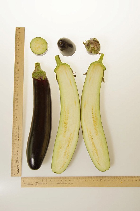 Партнер Баклажан ВАЛЕНТИНА F1 ^(10шт) 2-ной пак, изображение 3