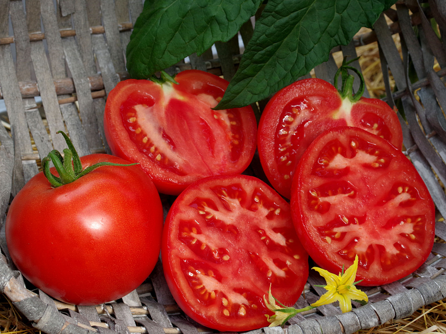 Партнер Томат КОЛОРИТ F1 ^(5шт) 2-ной пак, изображение 1