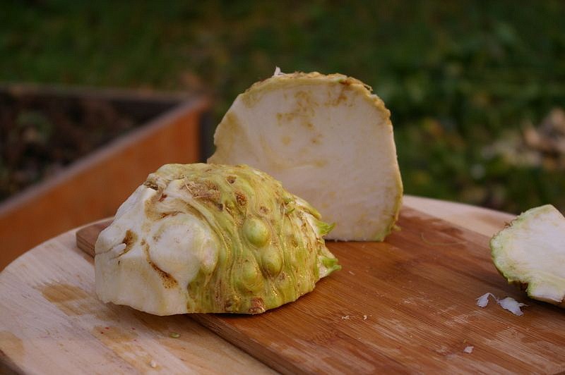 Партнер Сельдерей корневой АЛБИН ^(0,3г), изображение 3