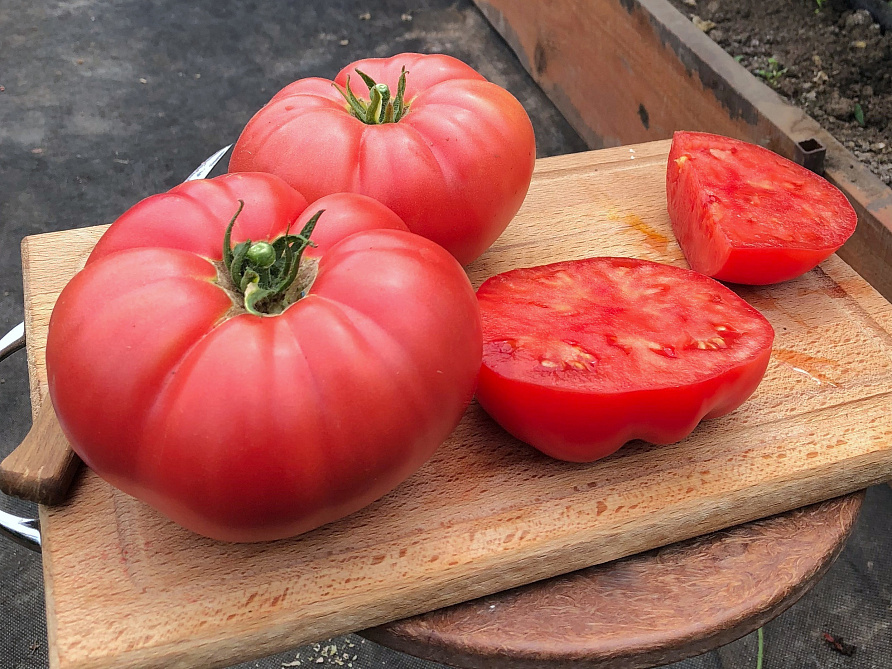 Партнер Томат СКВОРЕЦ F1 ^(0,1гр) 2-ной пак, изображение 1