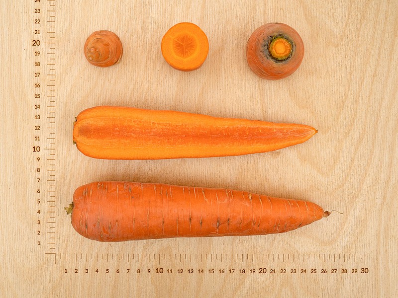 Партнер Морковь ОЛИМПО F1 ^(0,5г), изображение 3