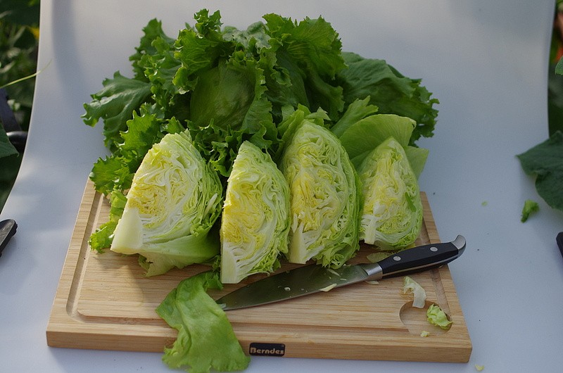 Партнер Салат кочанный ТАРЗАН ^(1г), изображение 6