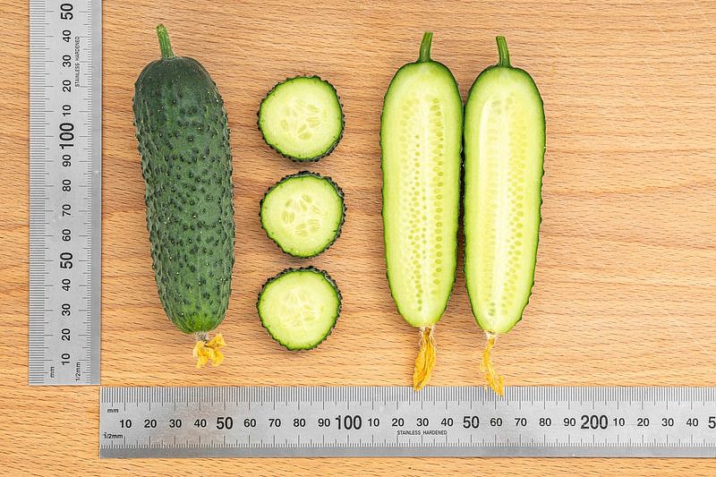 Партнер Огурец БЬЕРН F1 ^(5шт), изображение 6