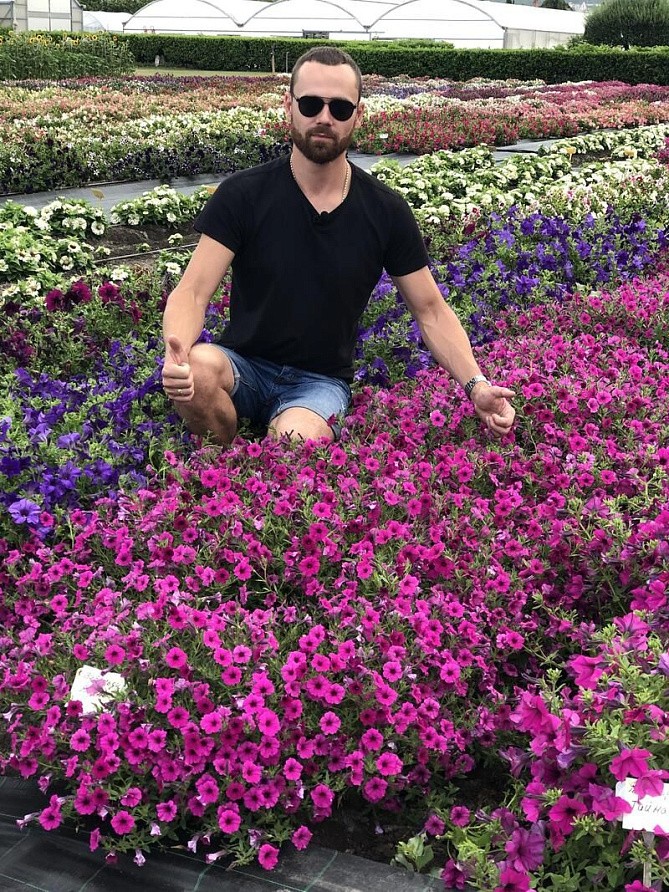 Партнер Петуния серия "Вивальди" ВУАЛЬ F1 / многоцветковая ампельная^(5шт в амп), изображение 5