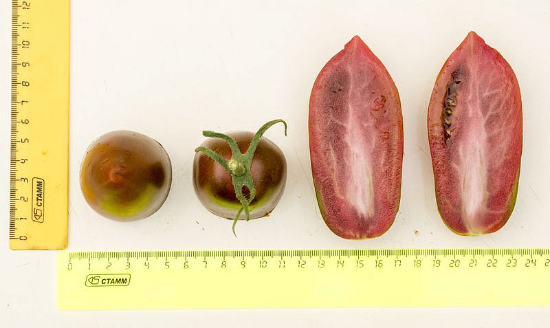 Партнер Томат БУРАЯ ГРОЗДЬ F1 ^(10шт) 2-ной пак, изображение 8