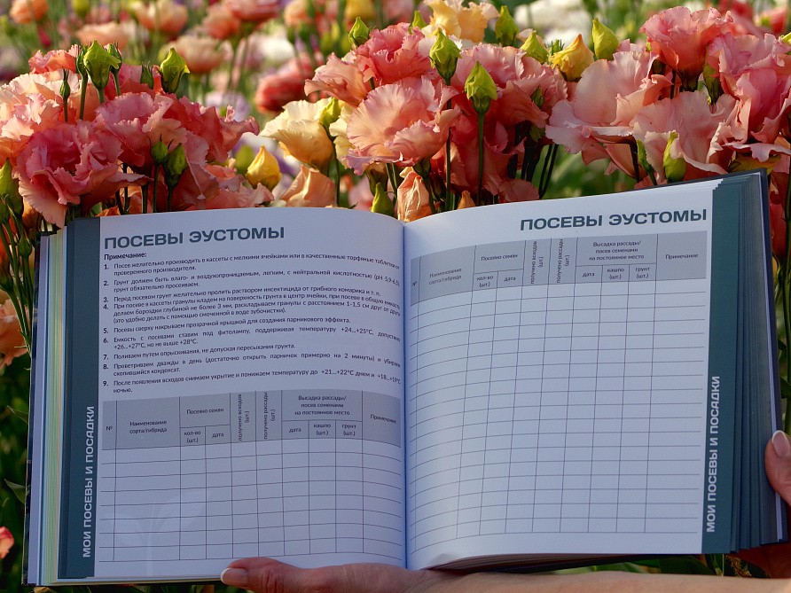 Ежедневник "Ежедневно с Партнером", изображение 2