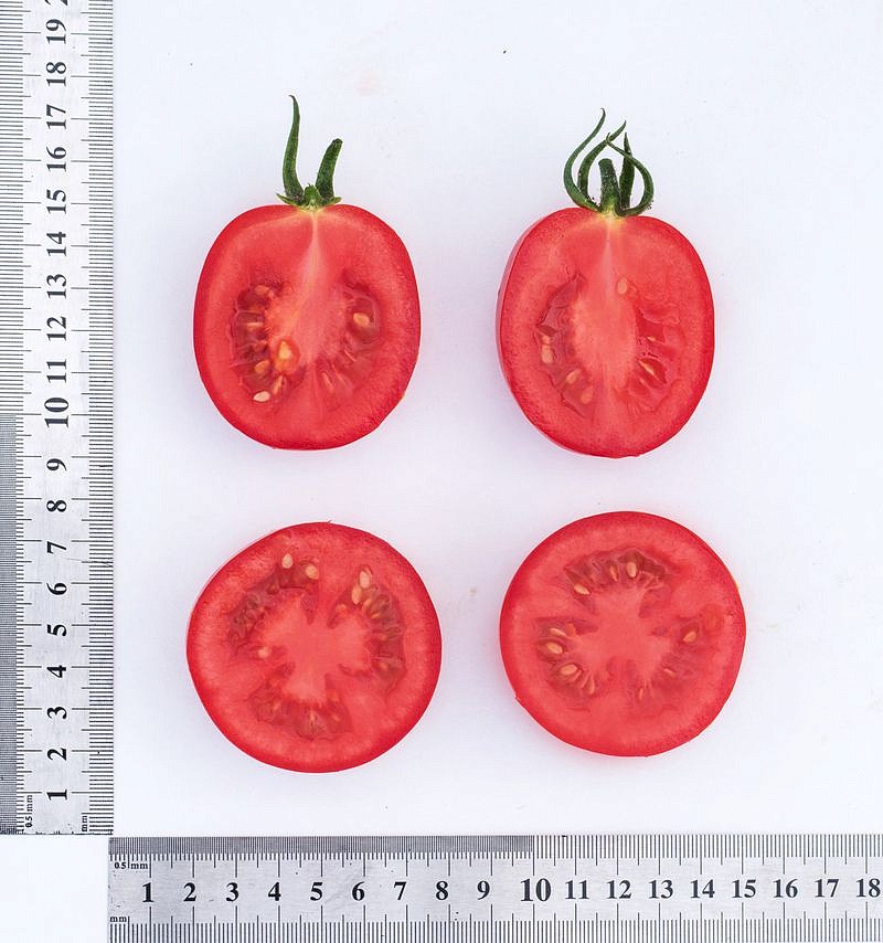 Партнер Томат ПОКРАСНЕВШАЯ НЕВЕСТА F1 ^(10шт) 2-ной пак, изображение 5