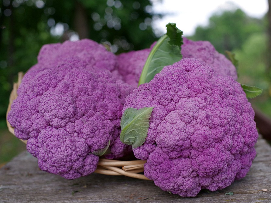 Партнер Капуста цветная ДЕПЕРПЛ F1 ^(10шт в амп), изображение 2