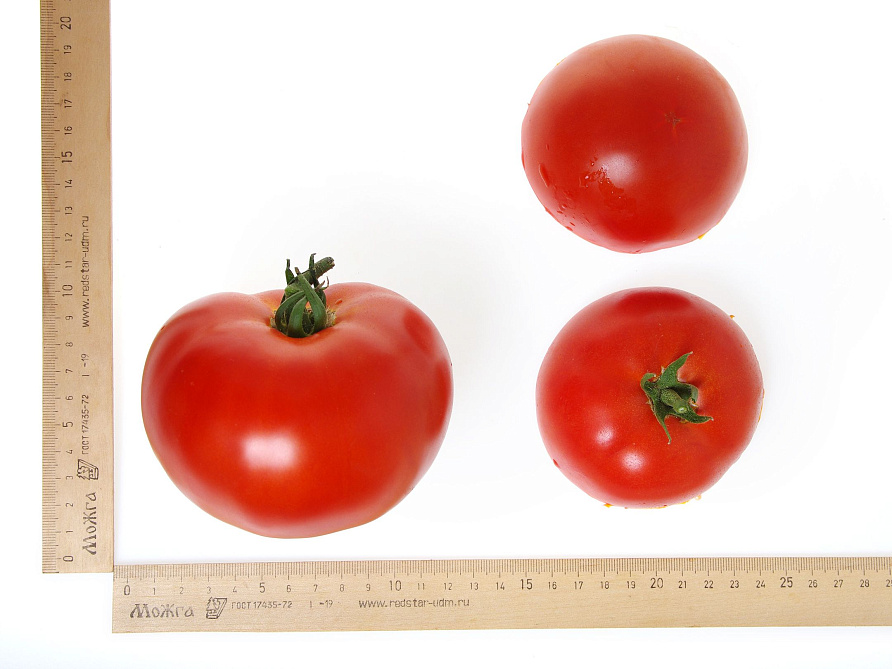 Партнер Томат МОМБАСА F1 ^(10шт) 2-ной пак, изображение 4