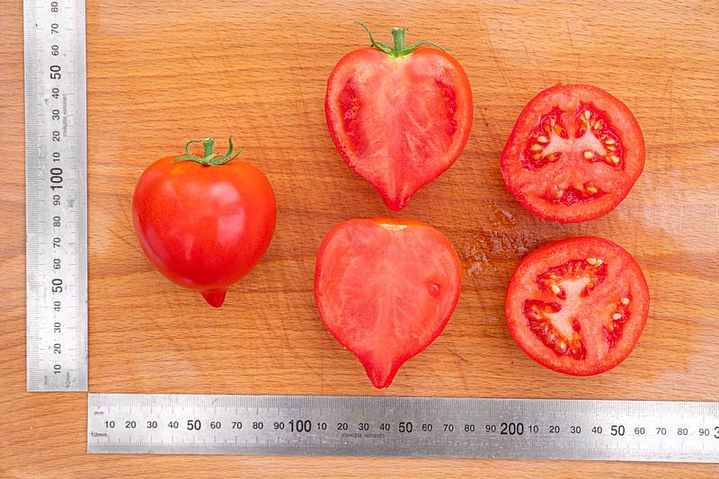 Партнер Томат ПИКАДОР F1 ^(0,05г) 2-ной пак, изображение 5