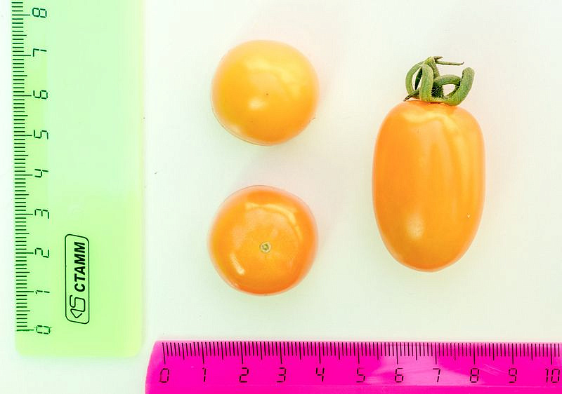 Партнер Томат ЧЕРРИ МАГНИФИКА F1 ^(10шт) 2-ной пак, изображение 1