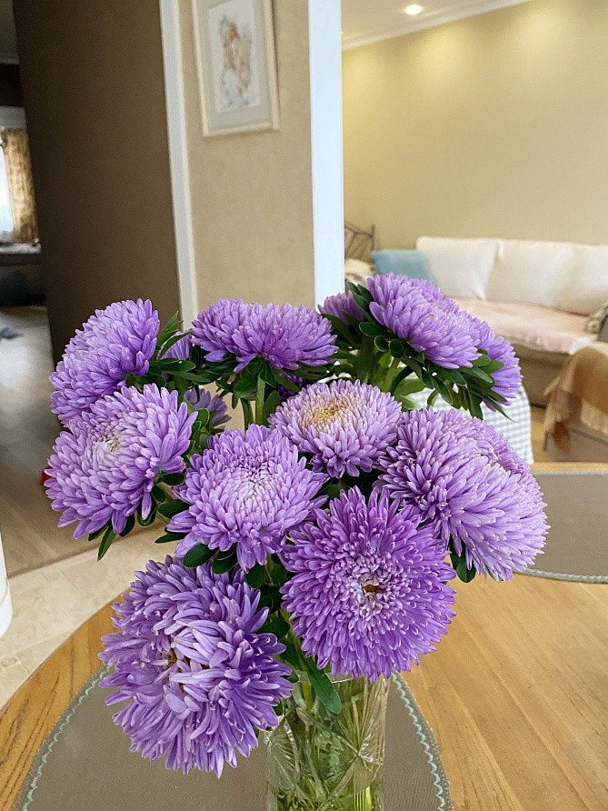 Партнер Астра китайская ЛЕБЕДИНАЯ ВЕРНОСТЬ ^(5шт в амп), изображение 3