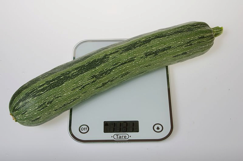 Партнер Кабачок ЗЕБРА ^(10шт), изображение 3