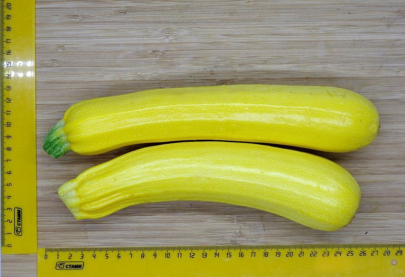Партнер Кабачок ЖЕЛТОПЛОДНЫЙ ^(10шт), изображение 6