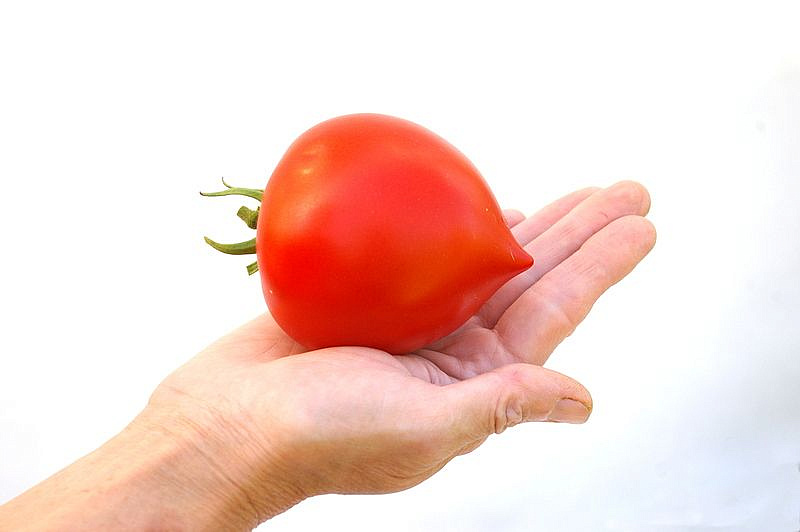 Партнер Томат АНТЮФЕЙ F1 ^(0,1г) 2-ой пак, изображение 1