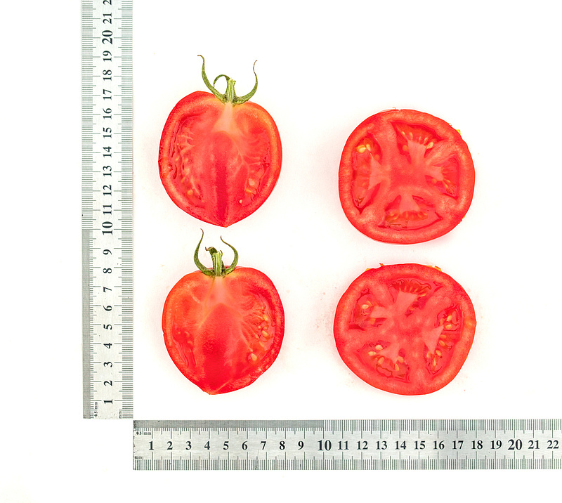 Партнер Томат АНТЮФЕЙ F1 ^(0,1г) 2-ой пак, изображение 3