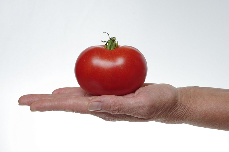 Партнер Томат МОНГОЛ КАРЛИК ^(10шт) 2-ной пак, изображение 2