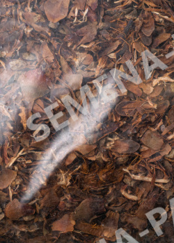 Мульча из шишек хвойных пород деревьев 7 л (Витафлор) фото 2