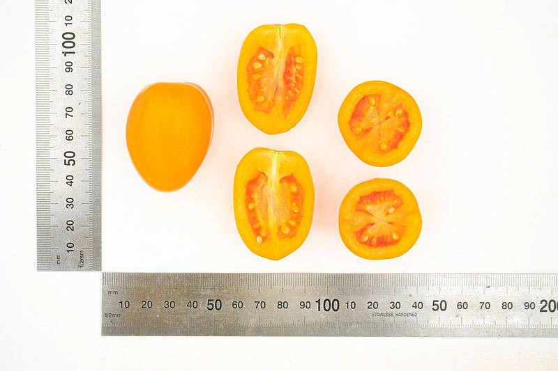 Партнер Томат ВЕРСАЛЬ F1 ^(10шт) 2-ной пак, изображение 11