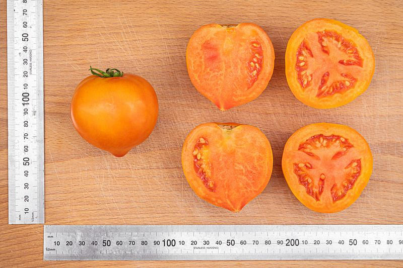 Партнер Томат ЗОЛОТАЯ МИЛЯ F1 ^(0,05г) 2-ной пак, изображение 3