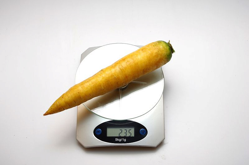 Партнер Морковь столовая ЕЛЛОУСТОУН ^(0,5г), изображение 2