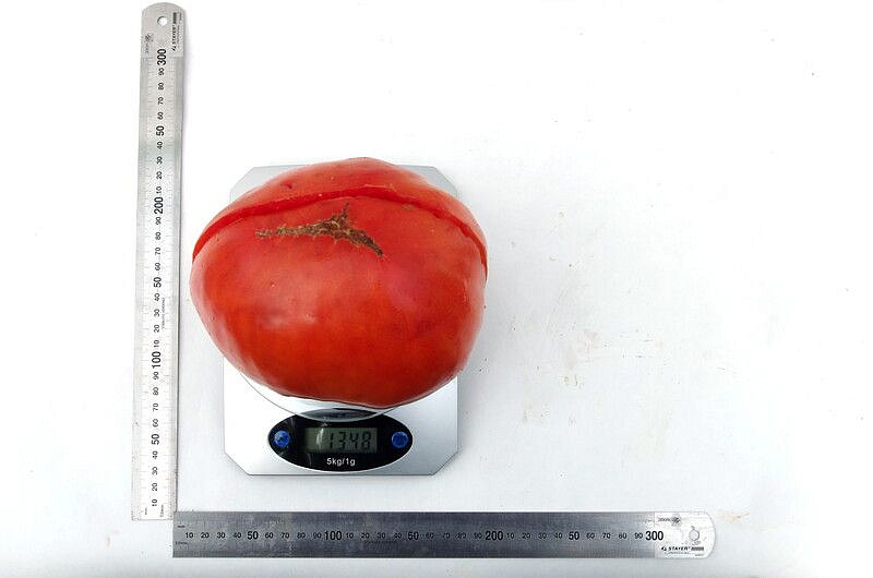 Партнер Томат ЛЕГЕНДА КОКТЕБЕЛЯ ^(10шт) 2-ной пак, изображение 5