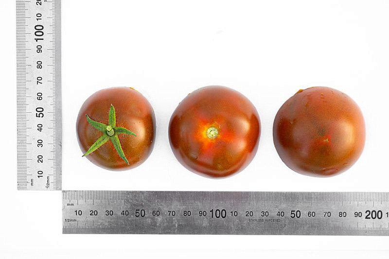 Партнер Томат ВЕНДЕТТА F1 ^(5шт) 2-ной пак, изображение 4