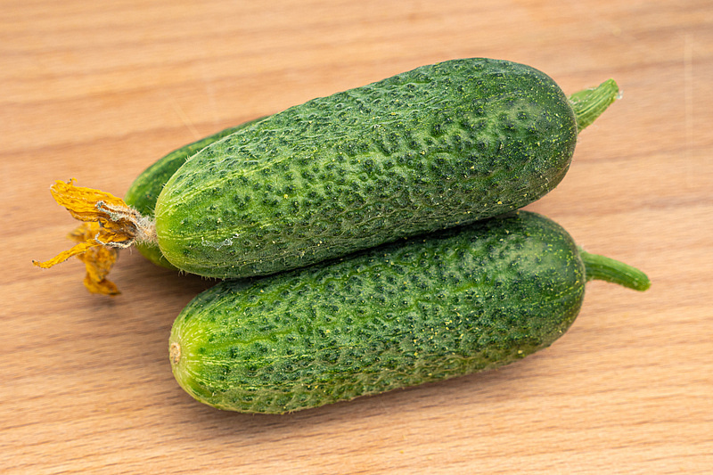 Партнер Огурец ХОББИТ F1 ^(10шт), изображение 5