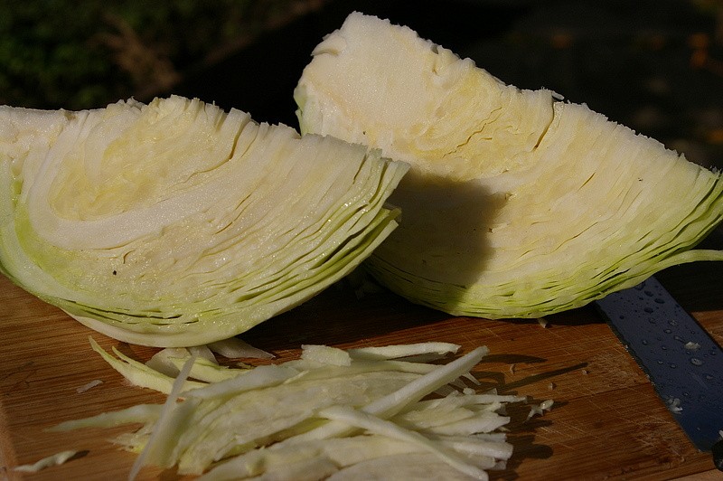 Партнер Капуста б/к ПРЕСТИЖ F1 ^(0,2г в амп), изображение 6