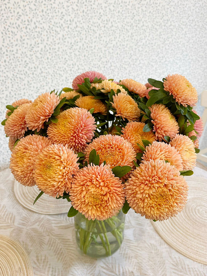 Партнер Астра китайская ОСЕННИЙ ПОЦЕЛУЙ ^(5шт в амп), изображение 3