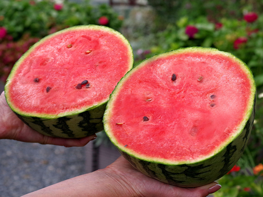 Партнер Арбуз КУБОК ОГНЯ F1 ^(5шт) 2-ной пак, изображение 1