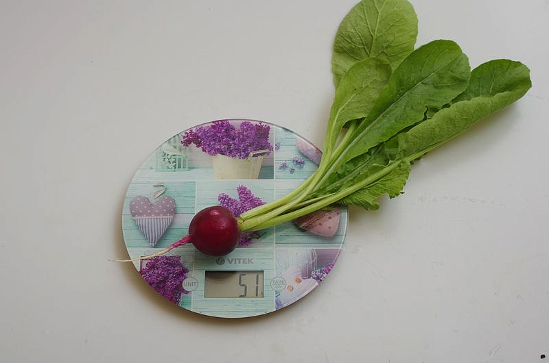 Партнер Редис ВИОЛЕТТА ^(2г), изображение 5