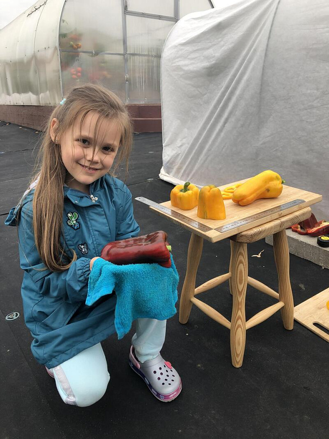 Партнер Перец КЛАУДИО F1 ^(5шт) 2-ной пак, изображение 3