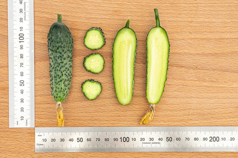 Партнер Огурец ПАСАЛИМО F1 ^(5шт), изображение 6