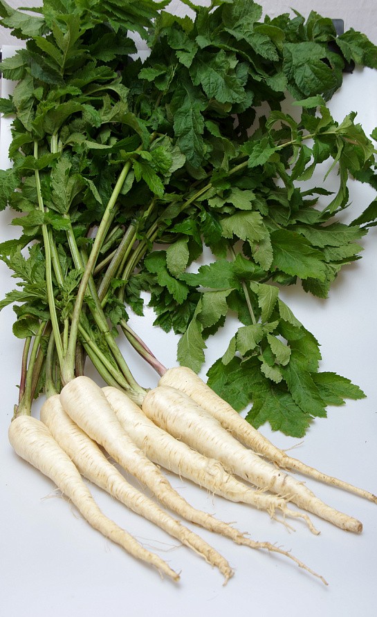 Партнер Пастернак ЛУЧШИЙ ИЗ ВСЕХ ^(1г), изображение 1