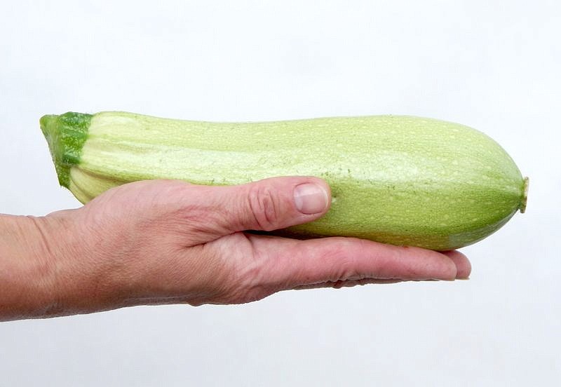 Партнер Кабачок ХЬЮГО F1 ^(5шт), изображение 3