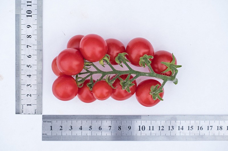 Партнер Томат ЧЕРРИ КАМЕННЫЙ ЦВЕТОК F1 ^(5шт) 2-ной пак, изображение 4