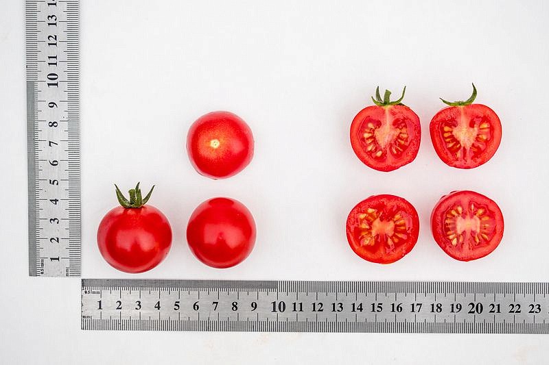 Партнер Томат ЧЕРРИ ПЛАЗА F1 ^(5шт) 2-ной пак, изображение 3